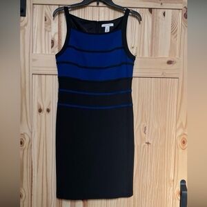 White House Black Market Women’s Bodycon Stripe Dress